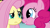 Size: 773x432 | Tagged: safe, screencap, fluttershy, pinkie pie, earth pony, pegasus, pony, dragonshy, boop, nose wrinkle