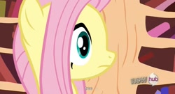 Size: 1593x863 | Tagged: safe, screencap, fluttershy, pegasus, pony, fluttertree, hub logo, youtube caption, youtube link