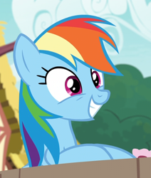 Size: 550x650 | Tagged: safe, derpibooru import, screencap, rainbow dash, pegasus, pony, secrets and pies, cropped, cute, smiling, solo