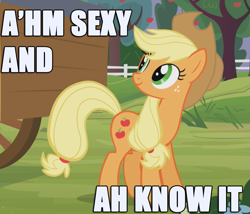 Size: 877x749 | Tagged: safe, applejack, earth pony, pony, facts, female, image macro, mare, truth