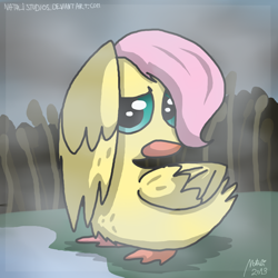 Size: 1024x1024 | Tagged: safe, artist:natalistudios, fluttershy, duck, 30 minute art challenge, female, flutterduck, solo, species swap