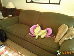 Size: 3264x2448 | Tagged: safe, artist:ojhat, fluttershy, pegasus, pony, ponies in real life, sleeping, sofa