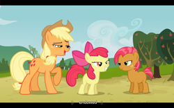 Size: 1024x640 | Tagged: safe, screencap, apple bloom, applejack, babs seed, earth pony, pony, apple family reunion, appleseed, female, lesbian, lidded eyes, shipping, youtube caption