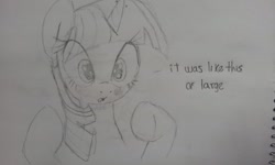 Size: 800x480 | Tagged: safe, artist:zev, derpibooru import, twilight sparkle, blushing, grayscale, monochrome, sketch, traditional art