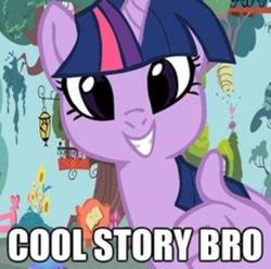 Size: 398x395 | Tagged: safe, artist:megasweet, derpibooru import, edit, twilight sparkle, twilight sparkle (alicorn), alicorn, pony, cool story bro, female, hand, image macro, mare, meme, parody, solo, thumbs up, wing hands