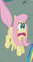 Size: 214x399 | Tagged: safe, screencap, fluttershy, pegasus, pony, dragonshy, female, mare, pink mane, yellow coat