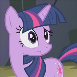 Size: 530x530 | Tagged: safe, derpibooru import, screencap, twilight sparkle, unicorn twilight, pony, unicorn, dragonshy, cropped, disturbed, female, mare, reaction image, solo