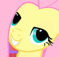 Size: 403x392 | Tagged: safe, screencap, fluttershy, pegasus, pony, stare master, bedroom eyes, female, lidded eyes, mare, oh you, reaction image, smiling, solo