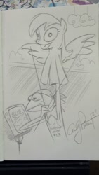 Size: 1024x1816 | Tagged: safe, artist:andypriceart, derpy hooves, pegasus, pony, crossover, female, kermit the frog, mare, photo, traditional art