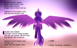 Size: 1300x809 | Tagged: safe, artist:nalenthi, derpibooru import, edit, twilight sparkle, twilight sparkle (alicorn), alicorn, pony, back, danger zone, female, mare, top gun, vulgar