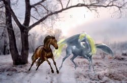 Size: 800x526 | Tagged: safe, artist:mistysteel, derpy hooves, doctor whooves, horse, pegasus, pony, female, hoers, horse-pony interaction, irl, mare, photo, photoshop, ponies in real life, realistic