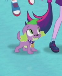 Size: 244x302 | Tagged: safe, derpibooru import, screencap, rainbow dash, sci-twi, spike, spike the regular dog, twilight sparkle, dog, better together, equestria girls, converse, cropped, male, offscreen character, paws, puppy, shoes, sneakers