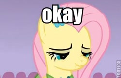 Size: 346x224 | Tagged: safe, fluttershy, pegasus, pony, image macro, okay, reaction image, scrunchy face