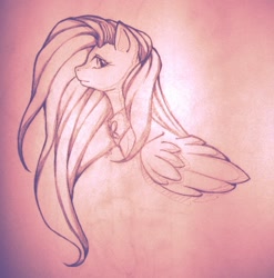 Size: 888x900 | Tagged: safe, artist:xapy, fluttershy, pegasus, pony, female, mare, simple background, traditional art, white background