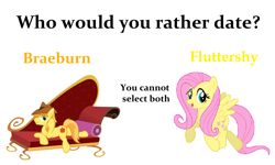 Size: 1500x900 | Tagged: safe, braeburn, fluttershy, pegasus, pony, female, mare, meta, who would you date