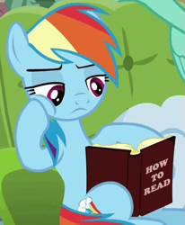 Size: 469x570 | Tagged: safe, derpibooru import, edit, edited screencap, screencap, lightning dust, rainbow dash, pegasus, pony, book, bored, cheek squish, female, frown, how to read, illiterate, image macro, leaning, lidded eyes, mare, meme, paradox, reading, sofa, solo focus, squishy cheeks, wat