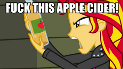 Size: 889x500 | Tagged: safe, screencap, sunset shimmer, equestria girls, apple cider, image macro, meme, vulgar