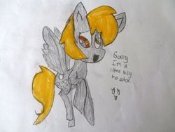 Size: 1024x768 | Tagged: safe, artist:faiththeraichu, derpy hooves, pegasus, pony, female, mare, solo, traditional art