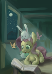 Size: 1080x1527 | Tagged: safe, artist:chung-sae, angel bunny, fluttershy, butterfly, pegasus, pony, animal, book, crepuscular rays, night, prone, reading, solo, window