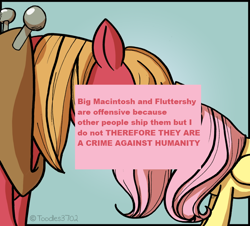 Size: 900x814 | Tagged: safe, big macintosh, fluttershy, pegasus, pony, female, fluttermac, male, meta, offensive ponies, shipping, straight, text