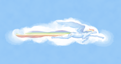 Size: 1600x851 | Tagged: safe, artist:admhire, derpibooru import, rainbow dash, pegasus, pony, cloud, flying, hoers