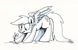 Size: 890x573 | Tagged: safe, artist:spainfischer, derpy hooves, pegasus, pony, female, flower, mare, solo, traditional art