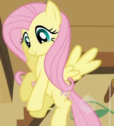 Size: 645x709 | Tagged: safe, fluttershy, pegasus, pony, female, hub logo, mare, solo