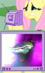 Size: 374x600 | Tagged: safe, fluttershy, pegasus, pony, exploitable meme, fluttercry, heroic sacrifice, leatherhead, spoilers for another series, teenage mutant ninja turtles, tmnt 2012, tv meme