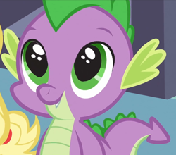 Size: 618x543 | Tagged: safe, screencap, applejack, spike, dragon, earth pony, pony, spike at your service, baby, baby dragon, big eyes, big pupils, carousel boutique, cute, enlarged pupils, fangs, looking up, male, puppy dog eyes, smiling, spikabetes, tail