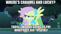 Size: 600x338 | Tagged: safe, caramel, fluttershy, lucky clover, spike, pegasus, pony, image macro