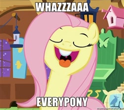 Size: 360x319 | Tagged: safe, fluttershy, pegasus, pony, female, flutterhigh, image macro, mare, pink mane, yellow coat