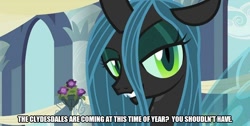 Size: 992x500 | Tagged: safe, edit, edited screencap, screencap, queen chrysalis, changeling, changeling queen, a canterlot wedding, alcohol, beer, budweiser, caption, clydesdale, female, image macro, misspelling, smiling, solo, talking, text