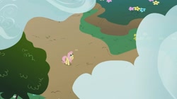 Size: 1596x894 | Tagged: safe, edit, edited screencap, screencap, fluttershy, pegasus, pony, sonic rainboom (episode), overhead view, solo, typography, yay