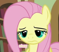 Size: 320x282 | Tagged: safe, fluttershy, pegasus, pony, female, mare, okay, pink mane, reaction image, yellow coat