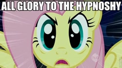 Size: 600x337 | Tagged: safe, fluttershy, pegasus, pony, all glory to the hypnotoad, futurama, hypnosis, hypnotoad, image macro, meme, the stare