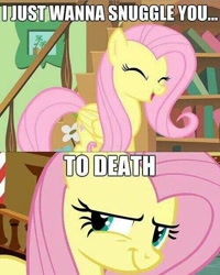 Size: 500x626 | Tagged: safe, fluttershy, pegasus, pony, female, image macro, mare, pink mane, snuggling, yellow coat