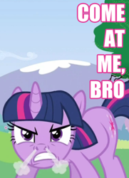 Size: 339x469 | Tagged: safe, derpibooru import, edit, edited screencap, screencap, twilight sparkle, a canterlot wedding, angry eyes, come at me bro, image macro, meme, solo, steam