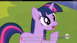 Size: 1920x1080 | Tagged: safe, derpibooru import, screencap, twilight sparkle, games ponies play, youtube caption