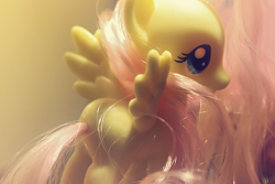 Size: 500x333 | Tagged: safe, fluttershy, pegasus, pony, brushable, figurine, plot, toy