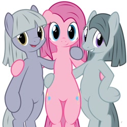 Size: 891x896 | Tagged: safe, artist:tg-0, limestone pie, marble pie, pinkie pie, pony, bipedal, cute, cuteamena, diapinkes, featureless crotch, older, pie sisters, pinkamena diane pie, standing