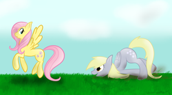 Size: 4500x2500 | Tagged: safe, artist:wonder-waffle, derpy hooves, fluttershy, pegasus, pony, female, following, mare