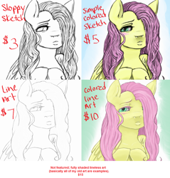 Size: 1058x1106 | Tagged: safe, artist:colorlesscupcake, fluttershy, pegasus, pony, commission, commission info, solo