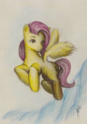 Size: 4814x6853 | Tagged: safe, artist:paradoxialevent, fluttershy, pegasus, pony, absurd resolution, dream, fanart