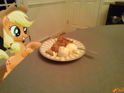 Size: 3264x2448 | Tagged: safe, artist:ojhat, applejack, a la mode, applepie, female, ice cream, irl, lesbian, photo, ponies in real life, shipping, table, vector