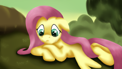 Size: 1920x1080 | Tagged: safe, artist:viffex, fluttershy, pegasus, pony, crying, female, mare, sad