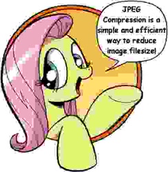 Size: 421x431 | Tagged: safe, artist:andypriceart, fluttershy, pegasus, pony, bad advice fluttershy, blatant lies, blue eyes, comic sans, dialogue, exploitable meme, female, humor, irony, mare, meme, needs more jpeg, open mouth, pink mane, raised hoof, raised leg, simple background, smiling, solo, speech bubble, talking to viewer, underhoof, yellow coat