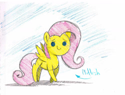 Size: 1731x1308 | Tagged: safe, artist:sauec, fluttershy, pegasus, pony, female, mare, pink mane, traditional art, yellow coat