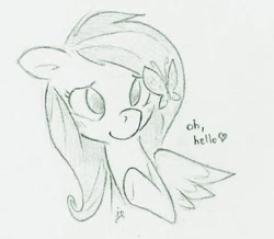 Size: 536x468 | Tagged: safe, artist:swiftcutter, fluttershy, butterfly, pegasus, pony, grayscale, sketch, traditional art