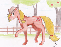 Size: 1024x795 | Tagged: safe, artist:whizperwolf, applejack, earth pony, horse, pony, semi-realistic, traditional art