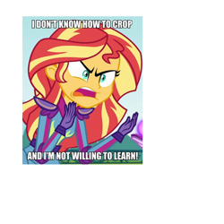 Size: 700x700 | Tagged: safe, edit, edited screencap, screencap, sunset shimmer, equestria girls, friendship games, angry, bad cropping, caption, image macro, meme, solo, sunset is not willing to learn